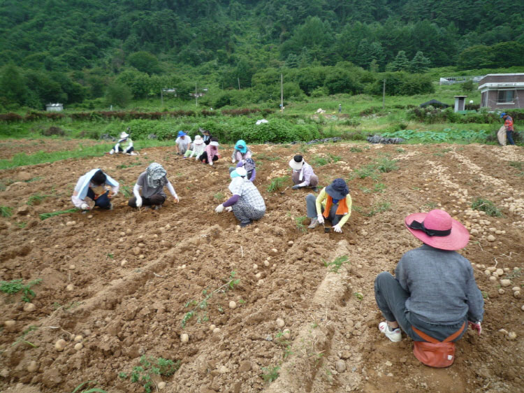 ���ڿ�º��� 2011