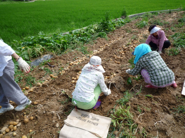 ���ڿ�º��� 2011