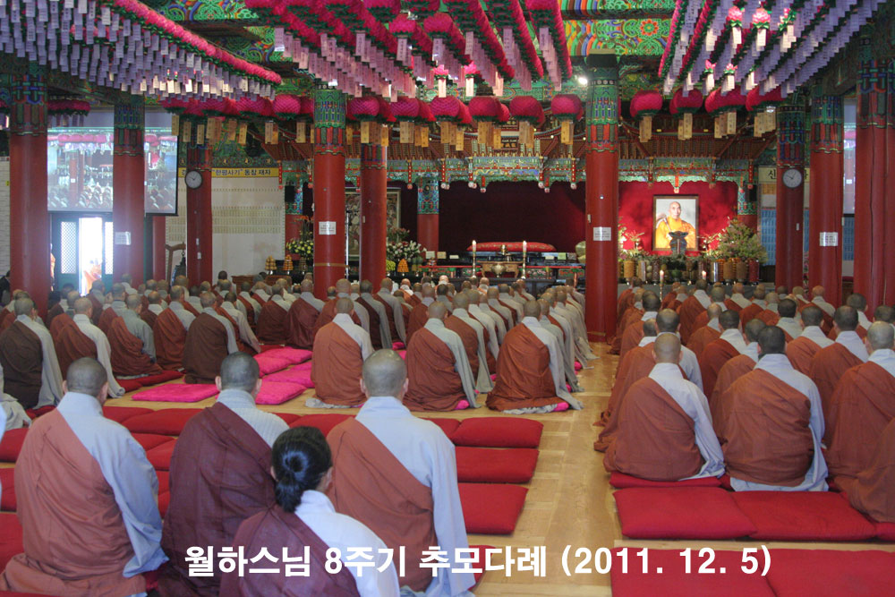 ���Ͻ��� 8�ֱ� �߸�ٷ�