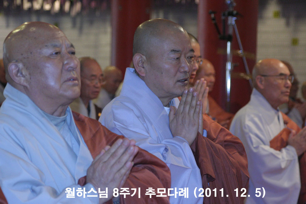 ���Ͻ��� 8�ֱ� �߸�ٷ�