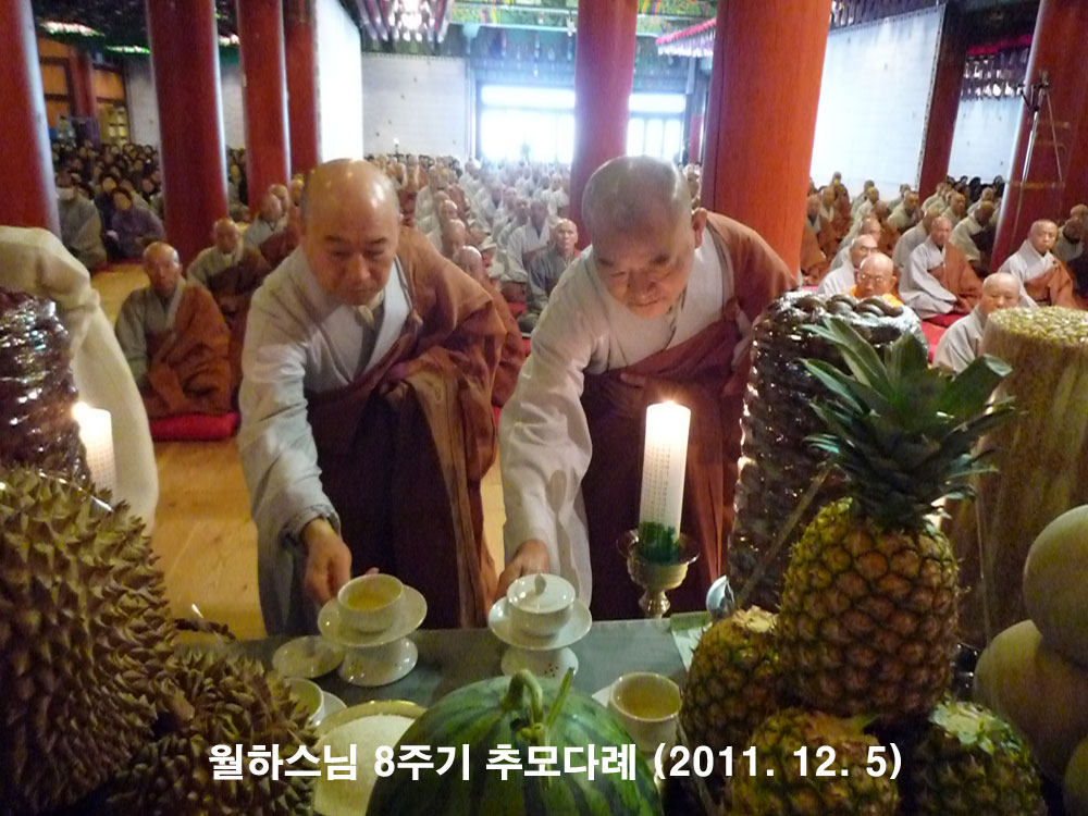 ���Ͻ��� 8�ֱ� �߸�ٷ�