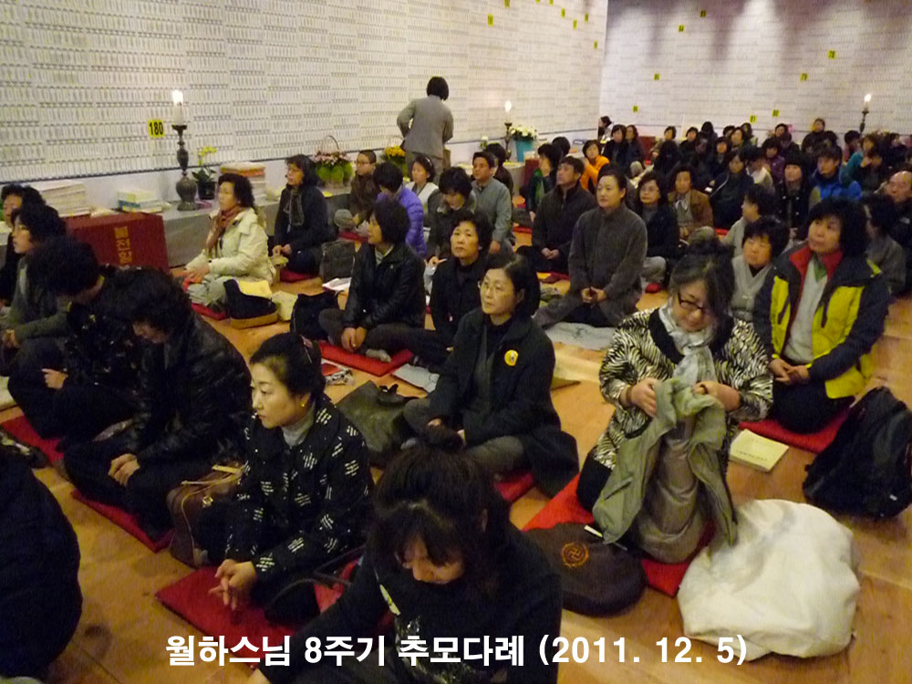 ���Ͻ��� 8�ֱ� �߸�ٷ�