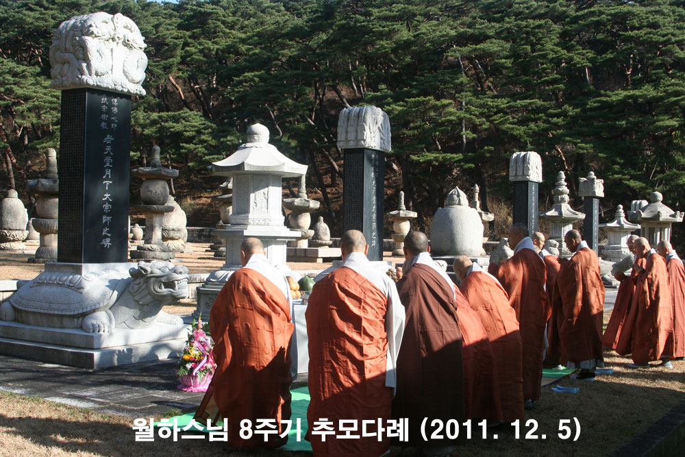 ���Ͻ��� 8�ֱ� �߸�ٷ�