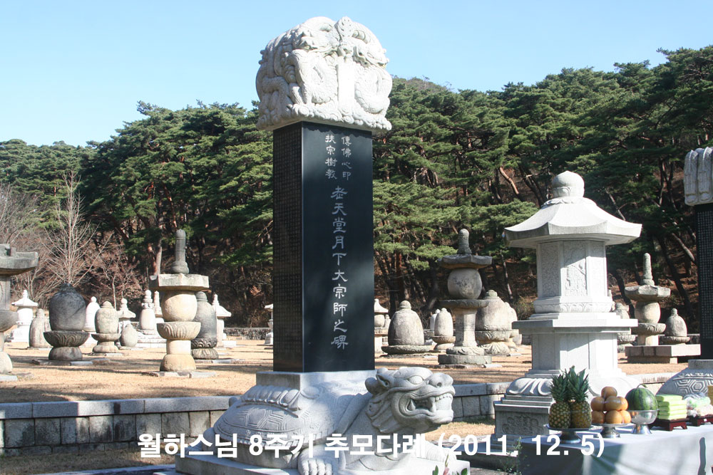 ���Ͻ��� 8�ֱ� �߸�ٷ�