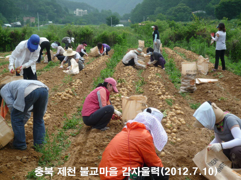 ��� ��õ �ұ����� ���ڿ��