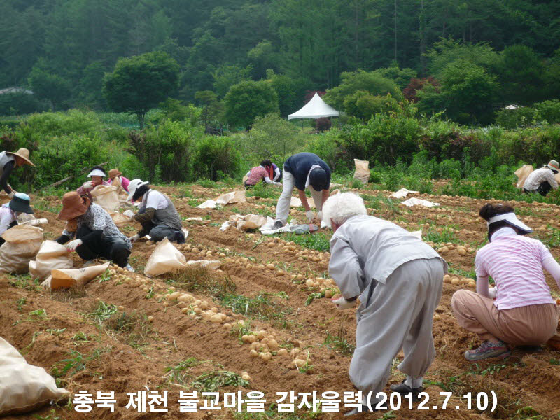 ��� ��õ �ұ����� ���ڿ��