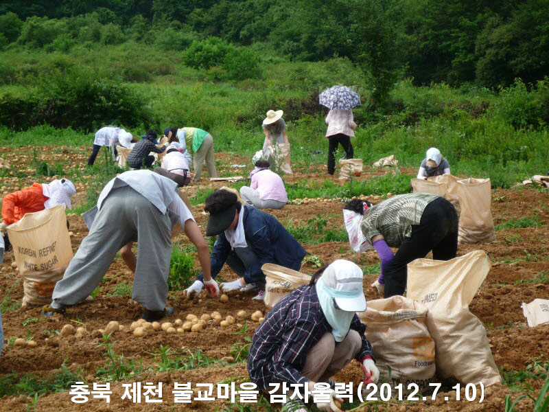 ��� ��õ �ұ����� ���ڿ��