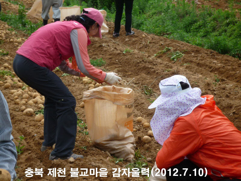 ��� ��õ �ұ����� ���ڿ��