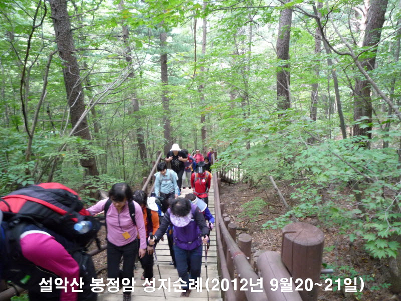 ������ ��������