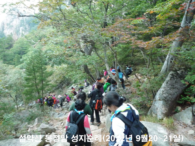 ������ ��������