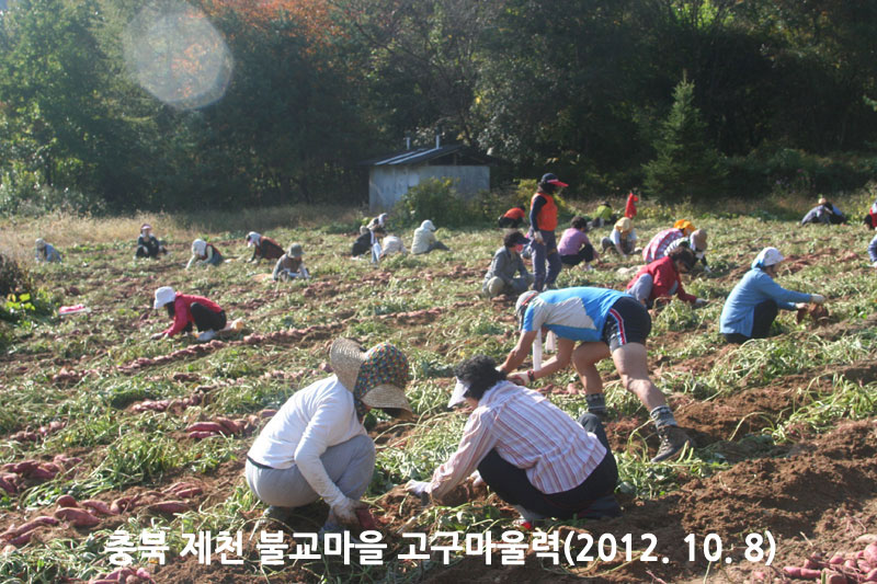 ��� ��õ �ұ����� ��������� 2012��