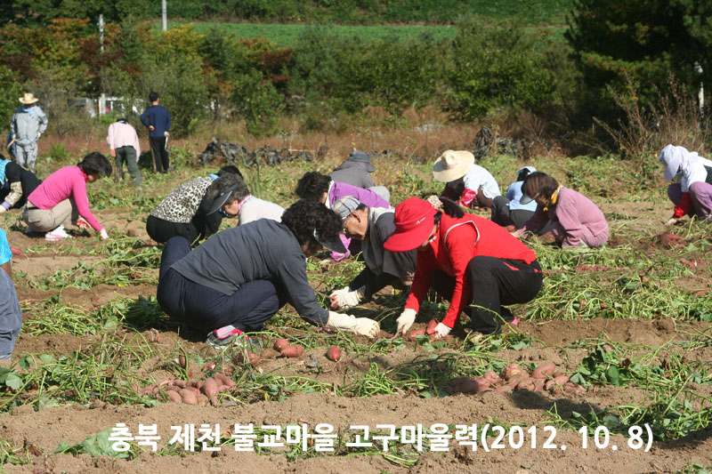 ��� ��õ �ұ����� ��������� 2012��