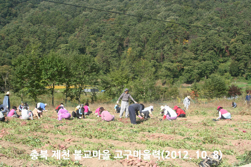 ��� ��õ �ұ����� ��������� 2012��