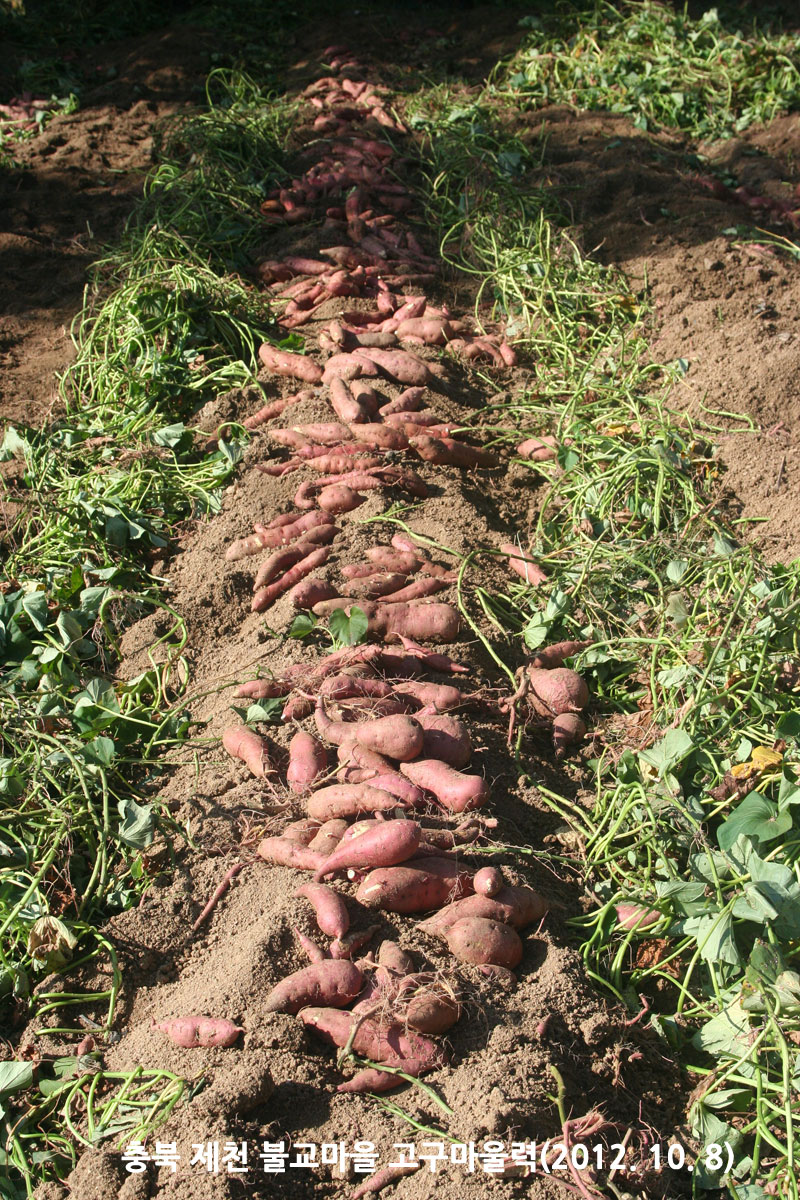 ��� ��õ �ұ����� ��������� 2012��