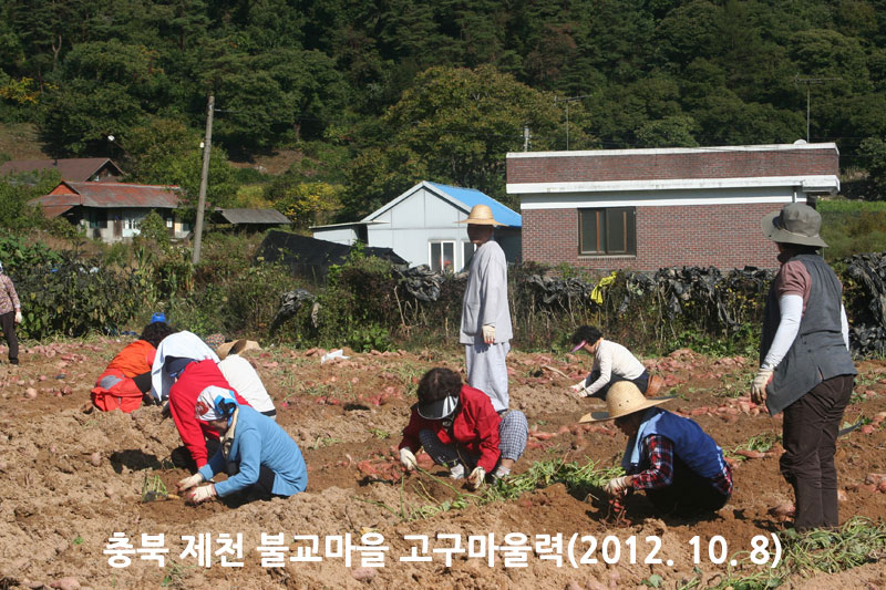 ��� ��õ �ұ����� ��������� 2012��