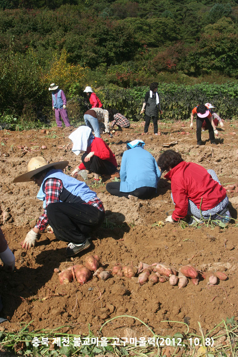 ��� ��õ �ұ����� ��������� 2012��