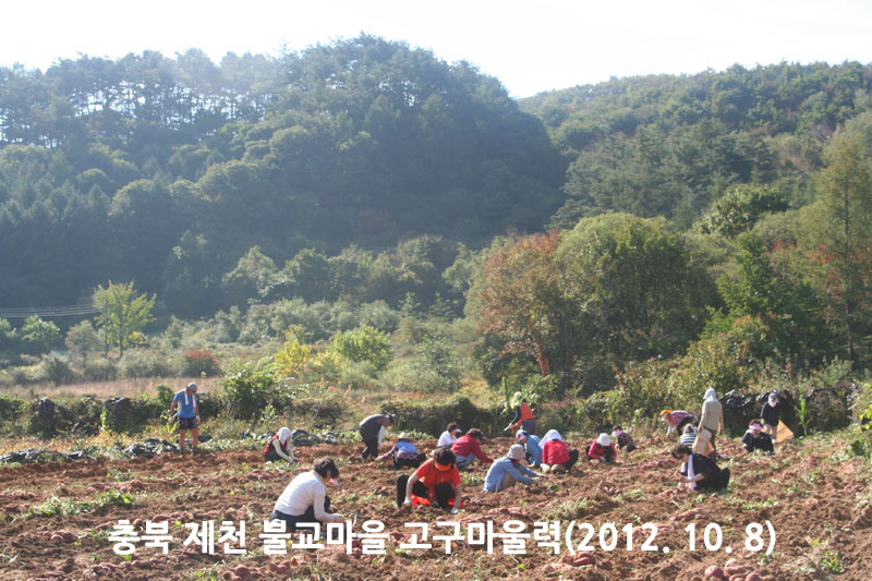 ��� ��õ �ұ����� ��������� 2012��