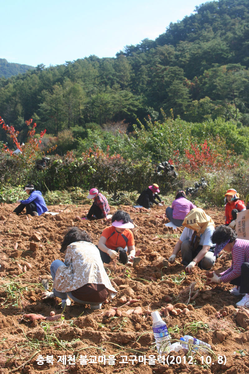 ��� ��õ �ұ����� ��������� 2012��