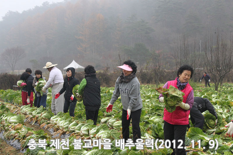 ��� ��õ �ұ����� ���߿�� 2012��