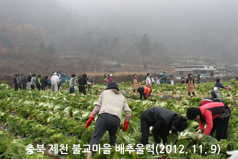 ��� ��õ �ұ����� ���߿�� 2012��