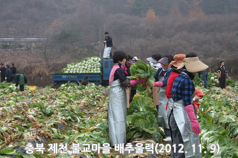 ��� ��õ �ұ����� ���߿�� 2012��