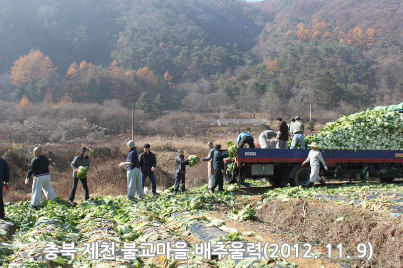 ��� ��õ �ұ����� ���߿�� 2012��