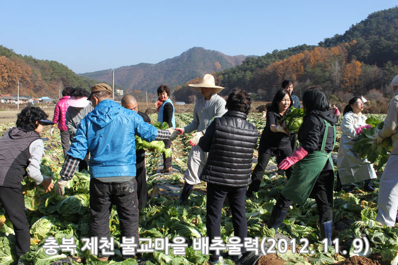 ��� ��õ �ұ����� ���߿�� 2012��