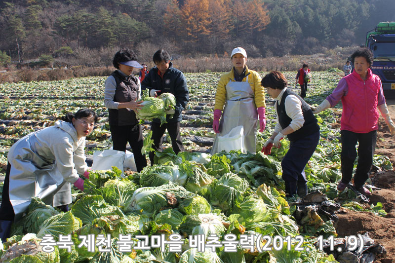 ��� ��õ �ұ����� ���߿�� 2012��