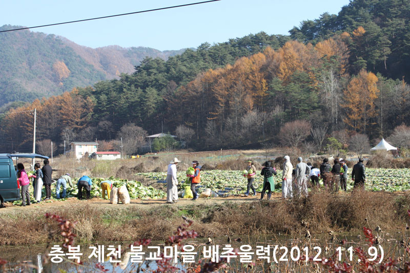 ��� ��õ �ұ����� ���߿�� 2012��