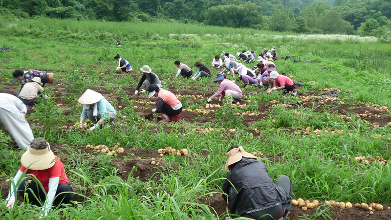 ��� ��õ �ұ����� ���ڿ�� 2013��