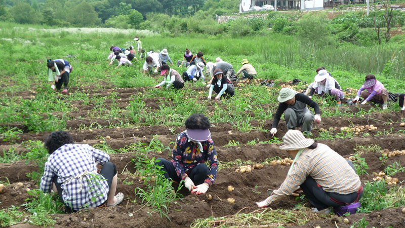 ��� ��õ �ұ����� ���ڿ�� 2013��