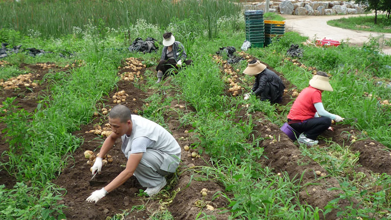 ��� ��õ �ұ����� ���ڿ�� 2013��