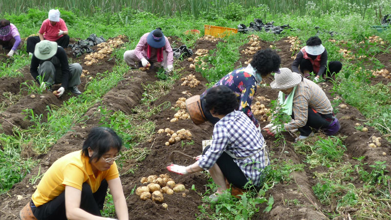 ��� ��õ �ұ����� ���ڿ�� 2013��