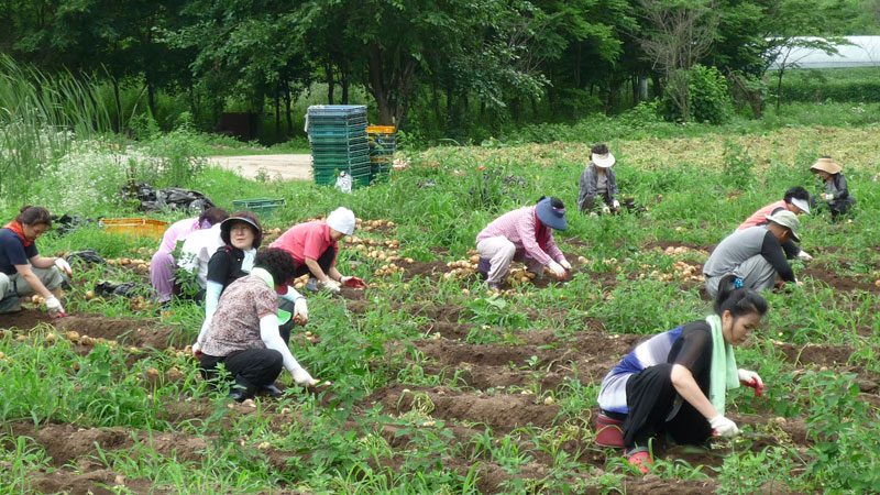 ��� ��õ �ұ����� ���ڿ�� 2013��