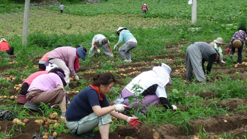 ��� ��õ �ұ����� ���ڿ�� 2013��