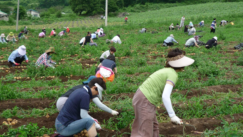 ��� ��õ �ұ����� ���ڿ�� 2013��