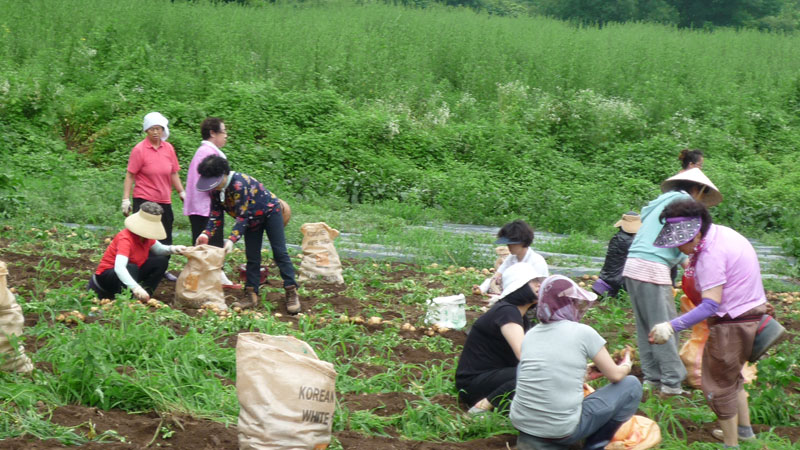 ��� ��õ �ұ����� ���ڿ�� 2013��