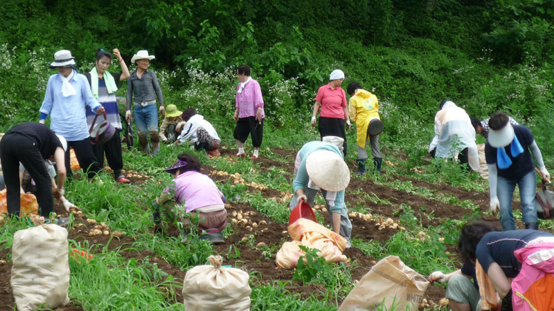 ��� ��õ �ұ����� ���ڿ�� 2013��