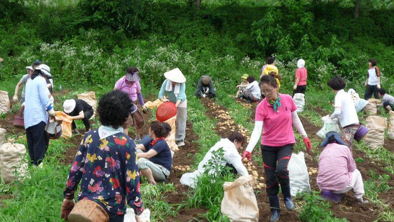 ��� ��õ �ұ����� ���ڿ�� 2013��