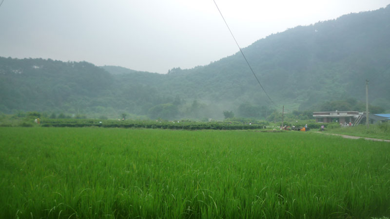 ���ߵ����� 2013��