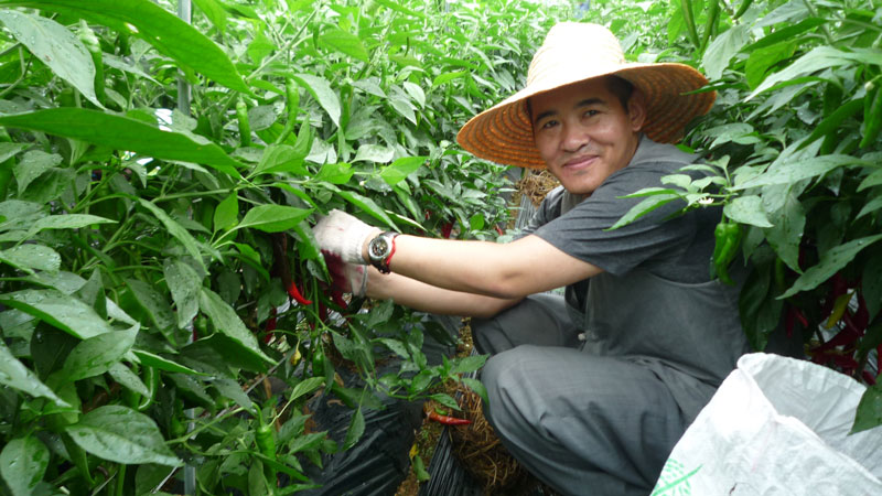 ���ߵ����� 2013��