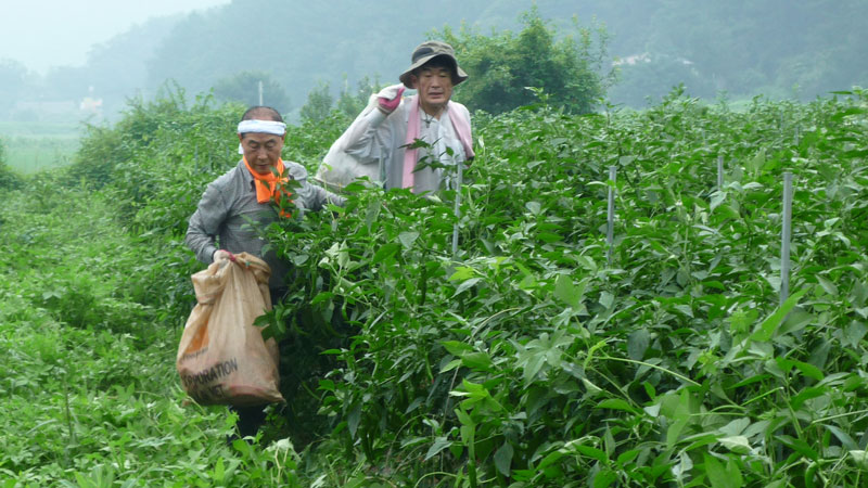 ���ߵ����� 2013��