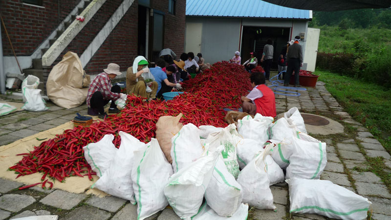 ���ߵ����� 2013��