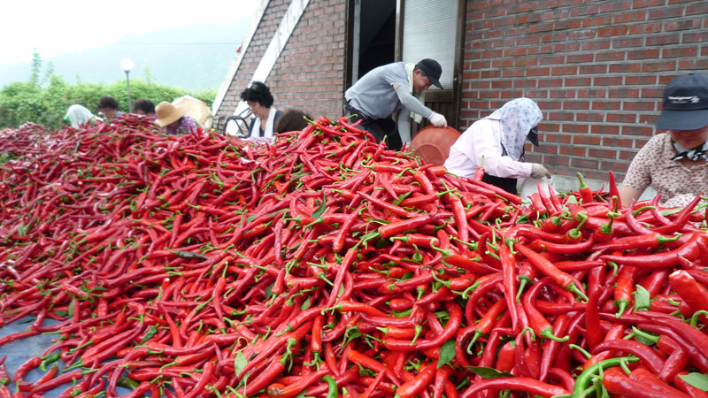 ���ߵ����� 2013��