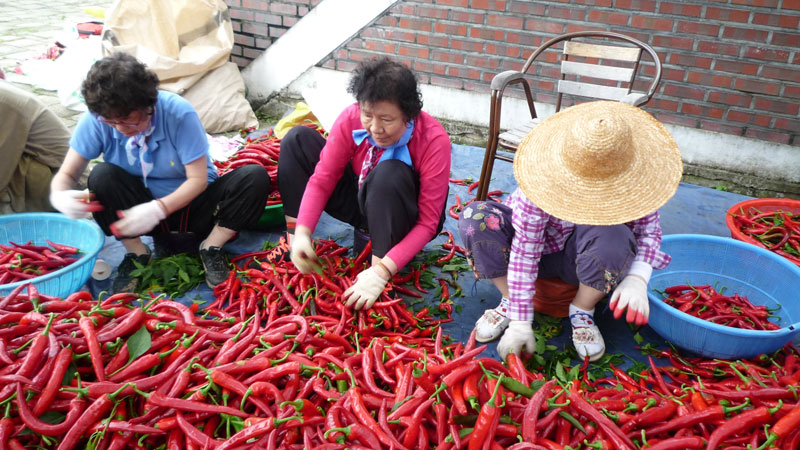 ���ߵ����� 2013��