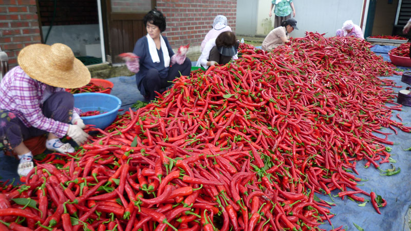 ���ߵ����� 2013��