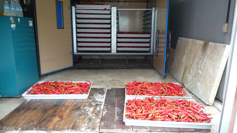 ���ߵ����� 2013��