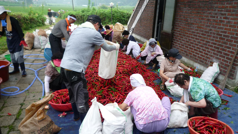 ���ߵ����� 2013��