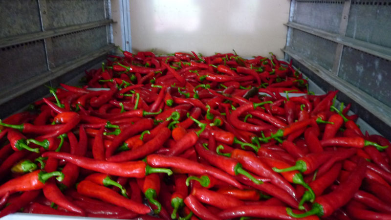 ���ߵ����� 2013��