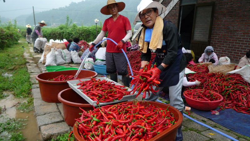 ���ߵ����� 2013��